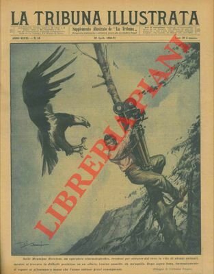 Sulle Montagne Rocciose, un operatore cinematografico, recatosi per ritrarre dal … | Immagine Gallery 1