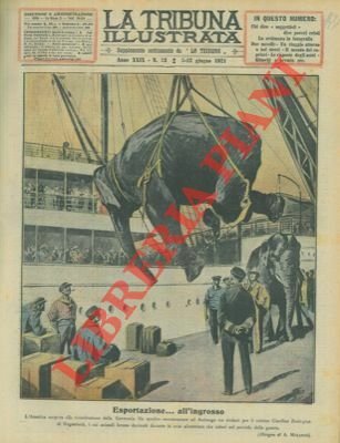 Tre elefanti vengono spediti dagli USA al famoso Giardino Zoologico … | Immagine principale