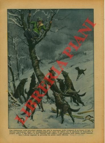 Studentessa, durante una gita in montagna, è stata costretta per … | Immagine Gallery 1