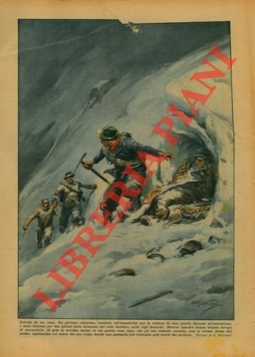 Un alpinista, costretto all'immobilità per la rottura di una gamba è stato bloccato per due giorni da una tormenta. Salvo per merito del suo cane lupo.