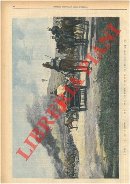 Torino. La grande rivista militare passata da Sua Maestà il …