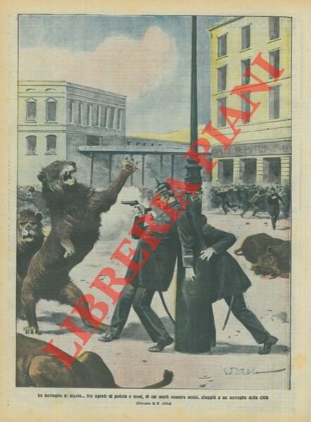La battaglia di Lipzia.fra agenti di polizia e leoni, di …