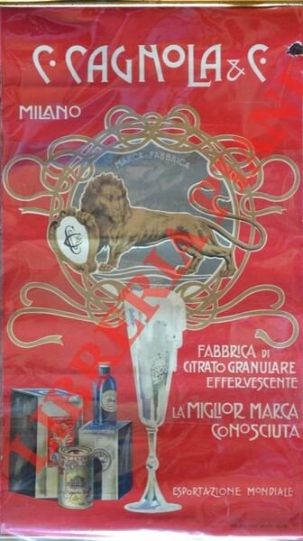 Fabbrica di citrato granulare effervescente. La miglior marca conosciuta.