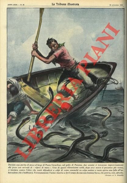 Durante una partita di pesca al largo di Punta Garachine, … | Immagine principale