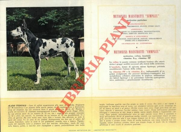 Alano tedesco, Apso, Bobtail, Bull-dog, Bull-dog francese, Can barbone, Carlino, …