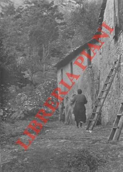 Paesaggi rurali di collina, italiani, animati.