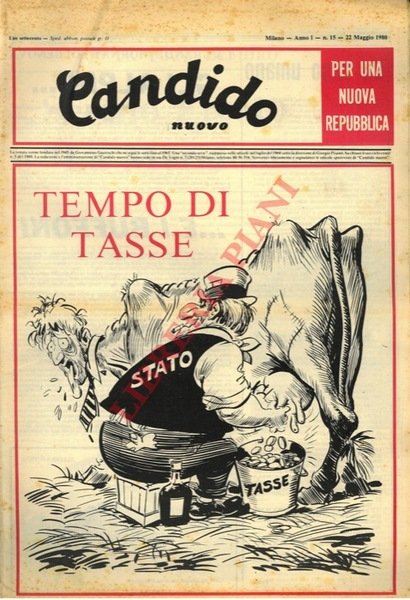 Candido nuovo.
