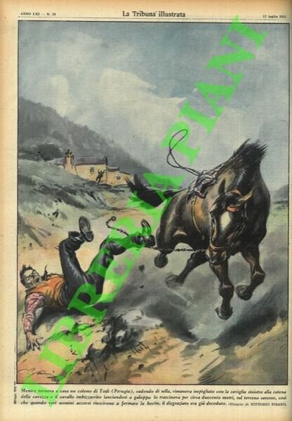 Mentre tornava a casa un colono di Todi (Perugia), cadendo di sella, rimaneva impigliatocon la caviglia sinistra alla catena della cavezza e il cavallo imbizzarrito lanciandosi a galoppo lo e trascinava per circa duecento metri. .