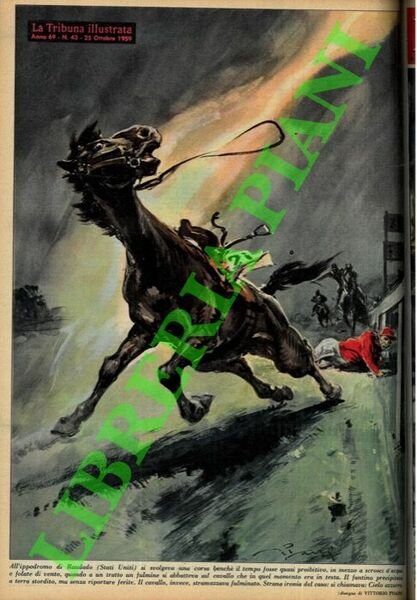 All'ippodromo di Raudado (Stati Uniti) si svolgeva una corsa benchè …