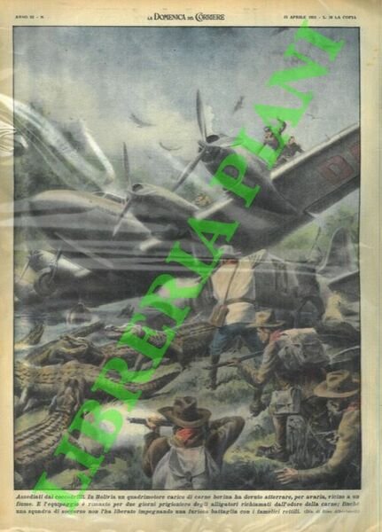 Equipaggio di un quadrimotore carico di carne atterrato, per avaria, …