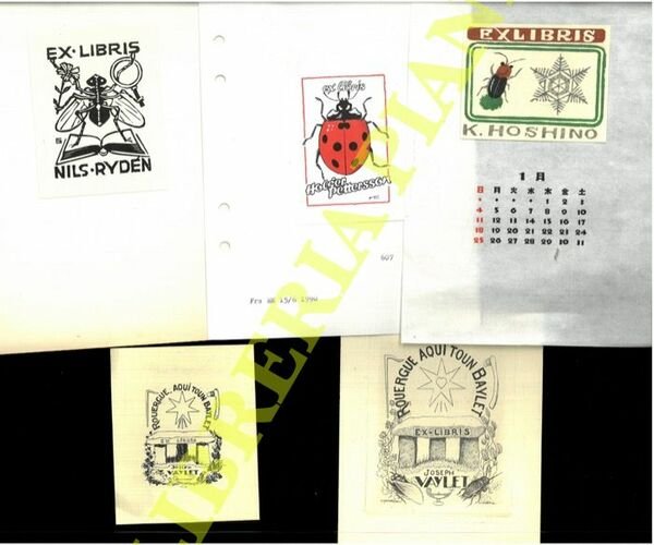 Ex libris : ENTOMOLOGIA (non farfalle) -