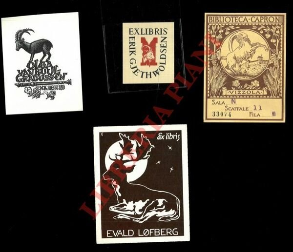 Ex libris : UNGULATI (Cervi; Caccia grossa) -