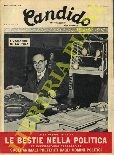 Candido. Settimanale del sabato. 1955.