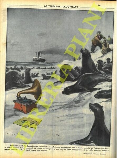 Sulle coste nord del Canadà alcuni catturatori di foche hanno sperimentato che la musica esercita un fascino irresistibile su quegli animali. Infatti mettendo in azione un fonografo si son viste le foche aggrupparsi intorno alla macchina sonora e restare estasiate, cadendo facili prede degli uomini.