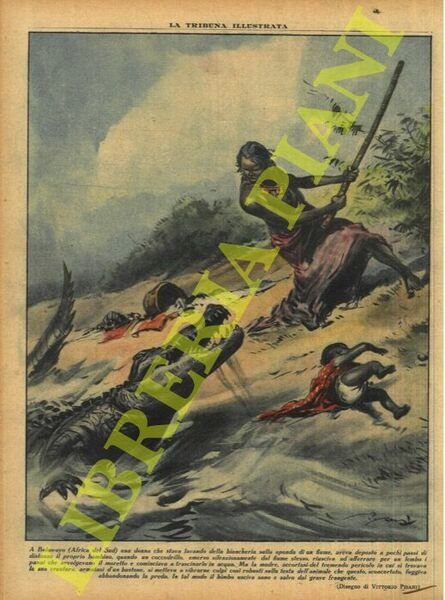 A Bulawayo (Africa del Sud) una donna che stava lavando …