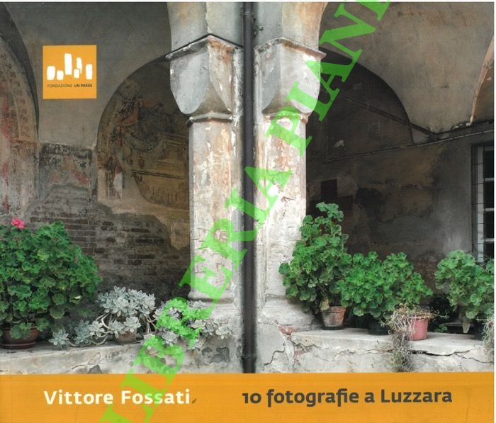 10 fotografie a Luzzara.