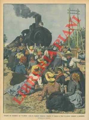 Sciopero di risaiuole nel vercellese.