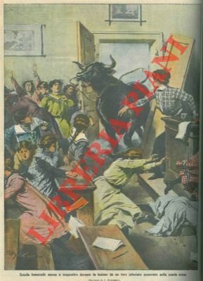 Toro infuriato invade una scuola femminile.