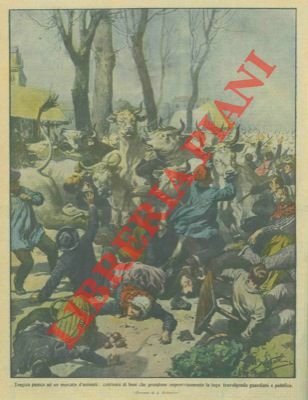 Nelle lande francesi centinaia di buoi presi dal panico travolsero …