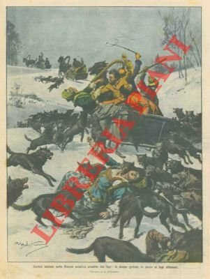 Corteo nuziale aggredito dai lupi (in Russia) le donne vengono … | Immagine Gallery 1