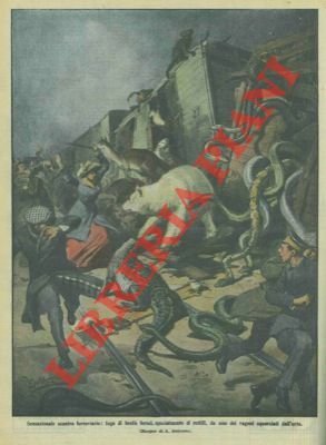 Fuga di bestie feroci uscite dai vagoni dopo uno scontro …