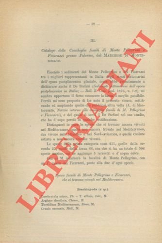 Catalogo delle conchiglie fossili di Monte Pellegrino e Ficarazzi, presso …