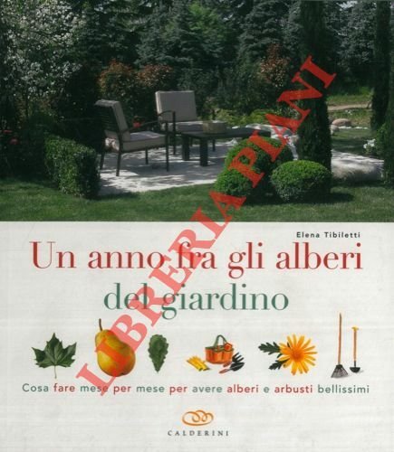 Un anno fra gli alberi del giardino. Cosa fare mese per mese per avere alberi e arbusti bellissimi.