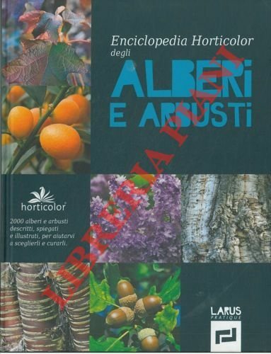 Alberi e arbusti.