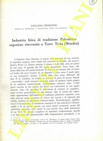 Industria litica di tradizione Paleolitico superiore rinvenuta a Torre Testa (Brindisi) .
