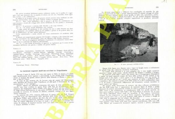 Le incisioni rupestri dell'Udei-el-Chel in Tripolitania.