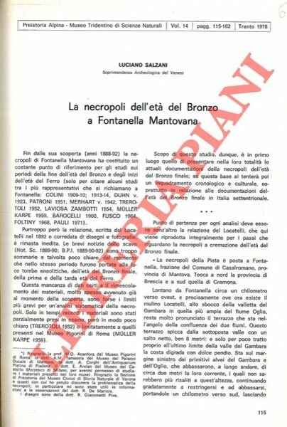 La necropoli dell'età del Bronzo a Fontanella Mantovana.