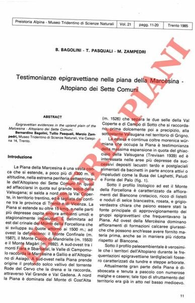 Testimonianze epigravettiane nella piana della Marcesina - Altopiano dei Sette …