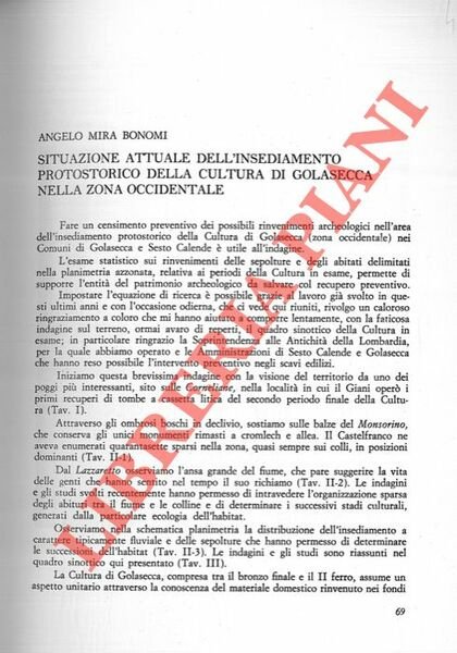 Situazione attuale dell'insediamento protostorico della cultura di Golasecca nella zona …