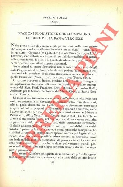 Stazioni floristiche che scompaiono: le dune della bassa Veronese.