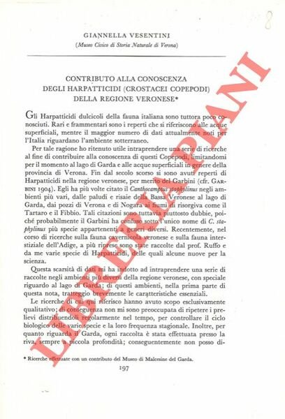 Contributo alla conoscenza degli Harapatticidi (Crostacei Copepodi) della regione veronese.
