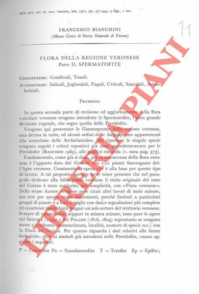 Flora della regione veronese. Spermatofite. | Immagine principale