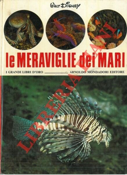 Le meraviglie dei mari.