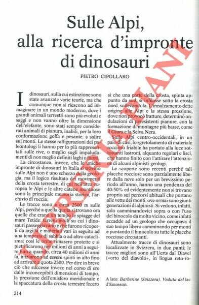 Sulle Alpi, alla ricerca d'impronte di dinosauri.
