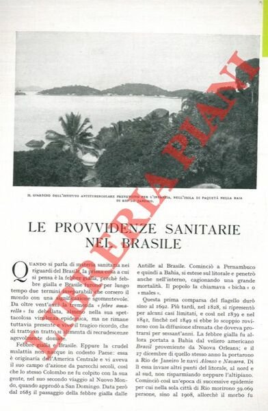 Le provvidenze sanitarie nel Brasile.