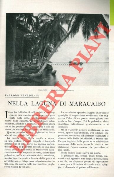 Nella laguna di Maracaibo.