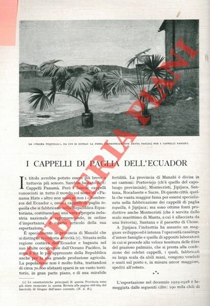 I cappelli di paglia dell'Ecuador.