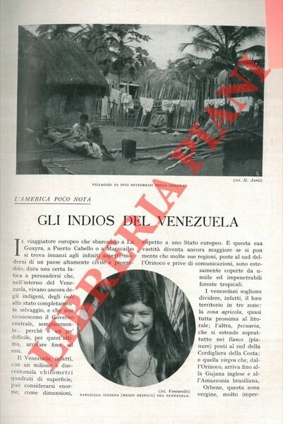 Gli Indios del Venezuela.