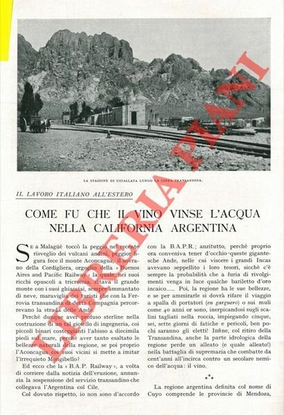 Il lavoro italiano all'estero. Come fu che il vino vinse …