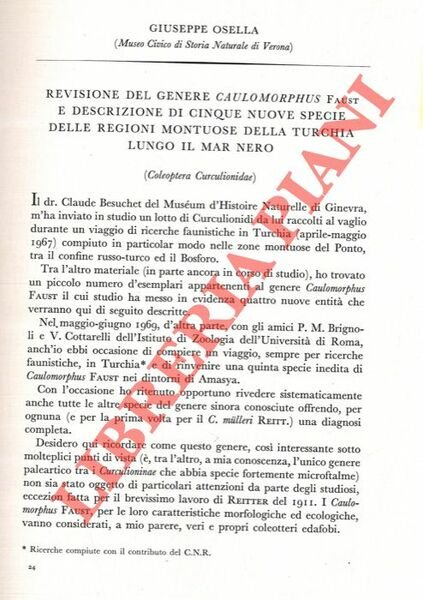 Flora della regione veronese. Pteridofite. | Immagine principale