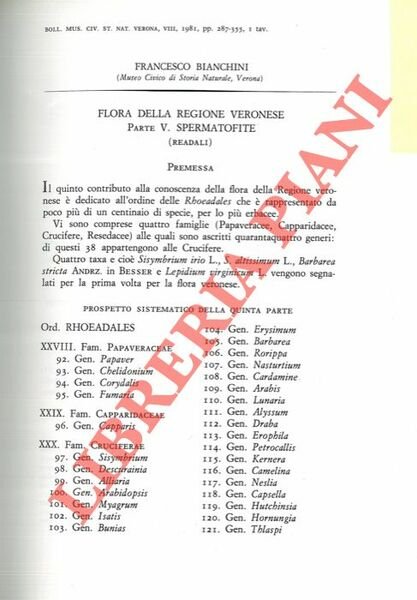 Flora della regione veronese. Spermatofite (Readali) . | Immagine principale