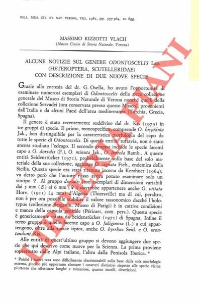 Alcune notizie sul genere Odontoscelis Lap. (Heteroptera, Scutelleridae) con descrizione …
