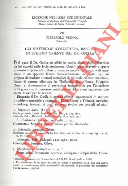Gli Histeridae raccolti in Estremo oriente dal Dr. Osella (Coleoptera) …