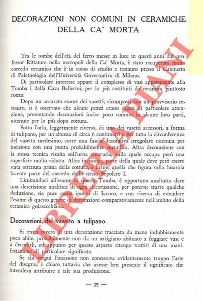 Decorazioni non comuni in ceramiche della Ca' Morta.