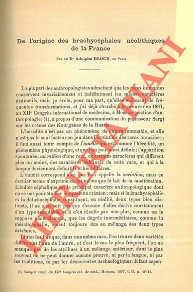 De l'origine des barchycéphales néolithiques de la France.