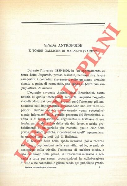 Spada antropoide e tombe galliche di Malnate (Varese) .